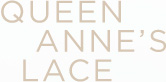 Queen Anne’s Lace